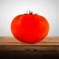 Semente de tomate hibrido Supremo R BHN