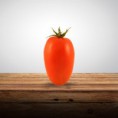 Semente de tomate hibrido Netuno BHN